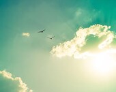 birds in flight photography flock of birds 8x8 8x10 8x12 golden teal art print aqua aquamarine clouds sky summer sunset beach seagulls