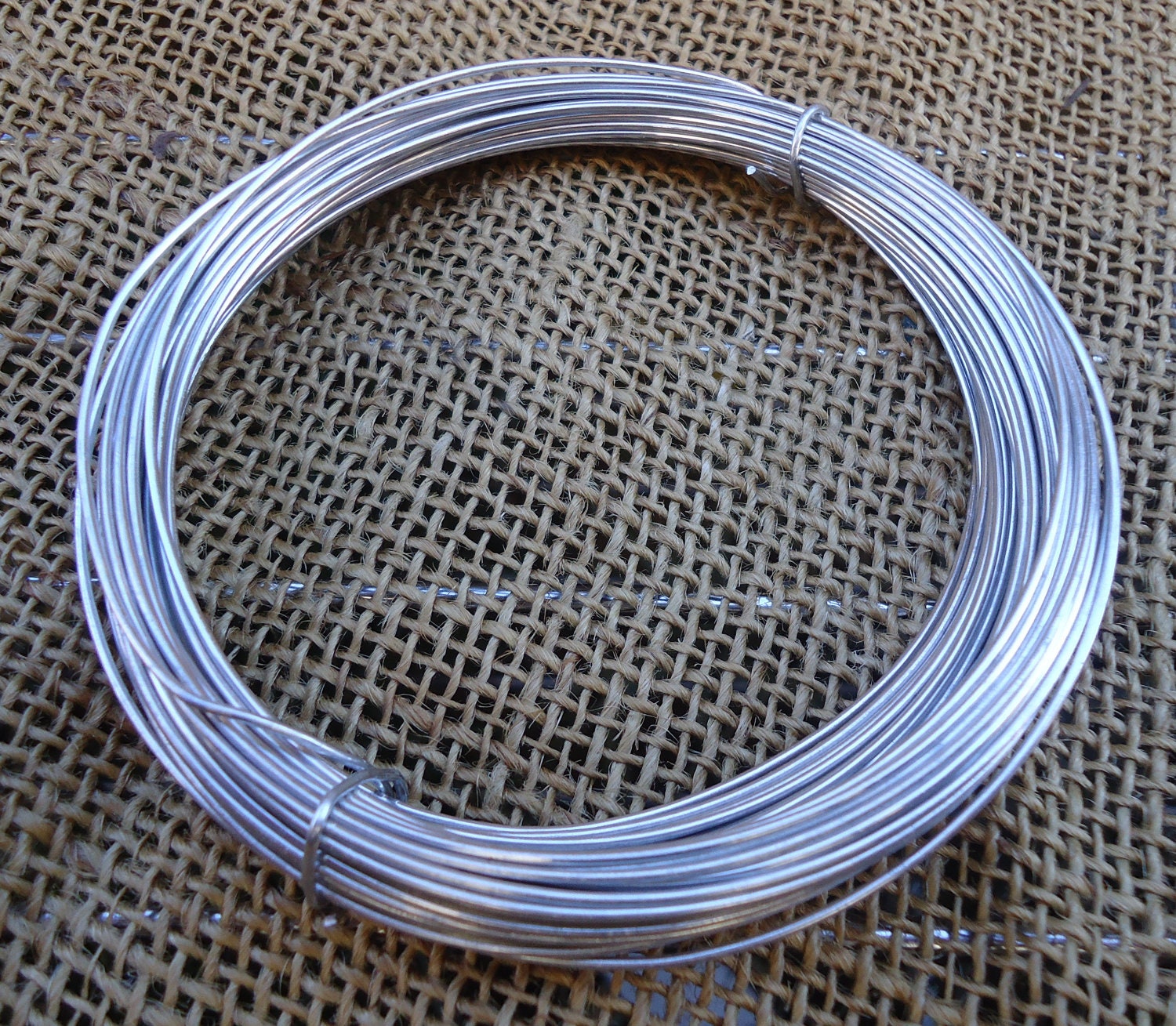 Tillandsia Wire-Silver Perfect for Hanging/Mounting Several Tillandsia