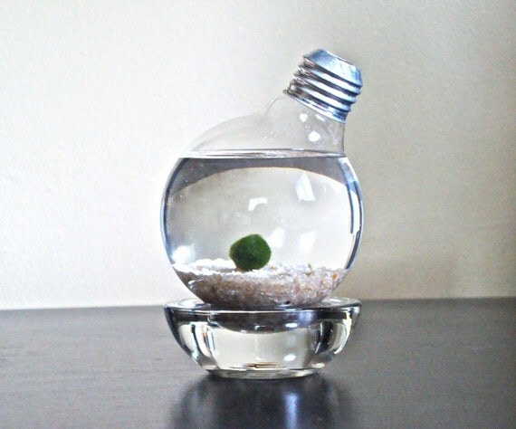 301 Moved Permanently