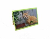 Cat Greeting Card, Blank Greeting Card