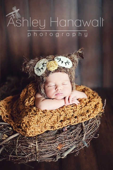 Owl Hat and Nest