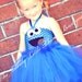 Cookie Monster Tutu Dress