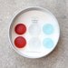 Glass Gem Magnets -  Bonjour FREE SHIPPING
