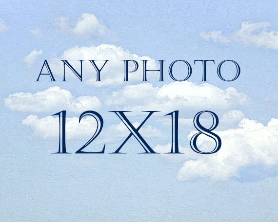 12x18 Nature Photography, Landscape photograph, Black and White Prints, Flower Picture, Ocean Photo