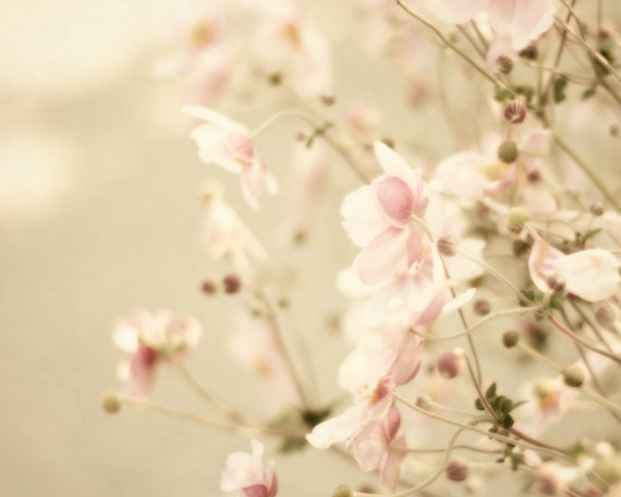 Pink Flower Photography 8x10, Shabby Chic Wall Decor, Feminine Wall Art, Girly Photograph, for her, Floral Home Decor, Rose Smoke Print