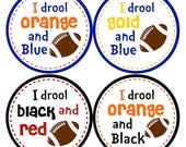 I Drool Onesie Sticker...Customize to Your University's Colors..Fun Photo Prop or Scrapbooking Sticker