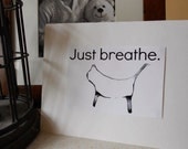 The wisdom of Cats. Loveable Greetings Cards with inspirational quotations from some very clever kitties.