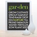 Garden Typography Print- 11x14 Poster art modern kitchen wall decor grey bright green organic fresh earth friendly classic design