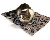 Crate Mat  Scary Cat CUSTOM Small 23 by 16 Mat Slip-proof Waterproof Base Gift Ready Cat Couture Travel Washable