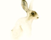Animal Artwork - Hare - Fine Art Animal Print from Original Watercolor