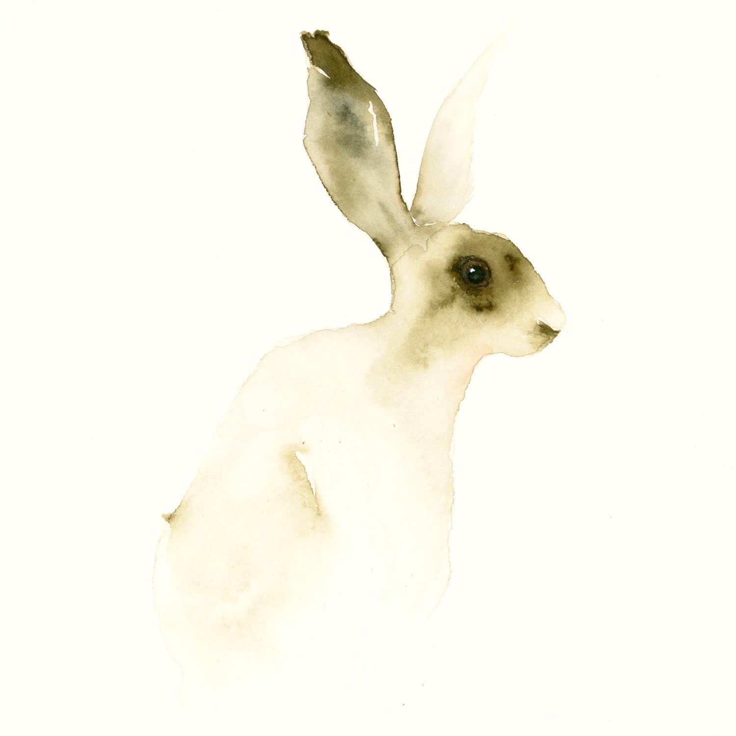 Animal Artwork - Hare - Fine Art Animal Print from Original Watercolor