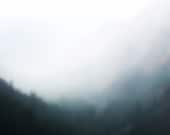 Dream like / Fog / Nature / Abstract / Forest / Soft / Gray / Dark Green - sukoshishop