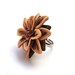 Polymer Clay Nude Beige and Brown Flower Adjustable Ring. Hand Crafted Flower Jewelry