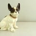 Vintage Boston Terrier Dog Figurine Made in Germany