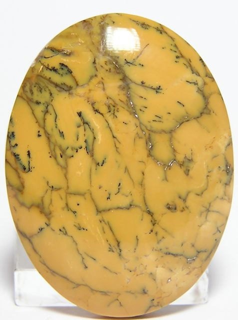 Black Dendritic Yellow Opal Stone Cabochon 40x30mm Free US Shipping