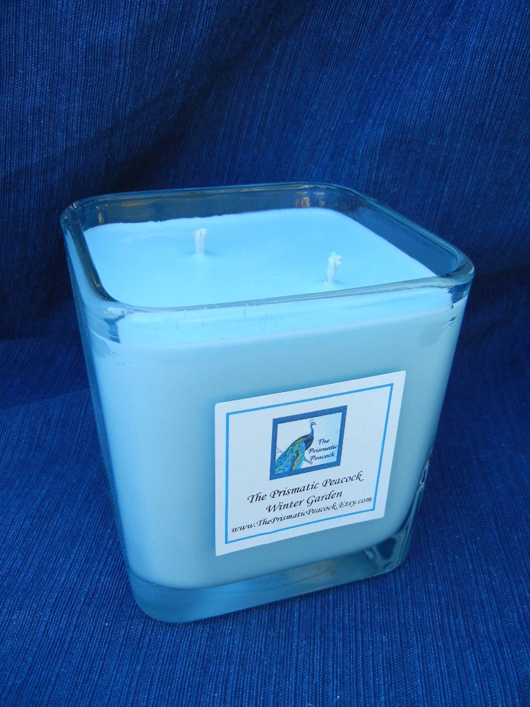 Eco-friendly Soy Candle 20oz Winter Garden Fragrance Ice Blue Clean Fresh Scent