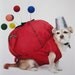 prize-winning Halloween Small Dog PIN CUSHION Costume