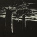 Original Black and White Painting of Baobab Trees During Sunrise - Print