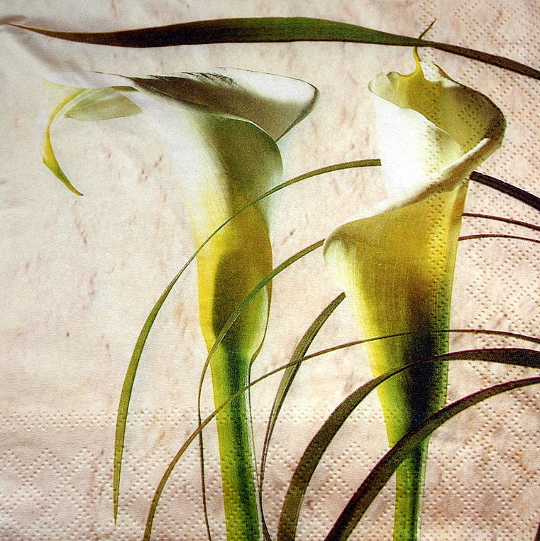 Paper Napkin for crafts, decoupage, floral napkin, calla lily flowers, size 13"x13". 1 (ONE) Lunch size napkin.