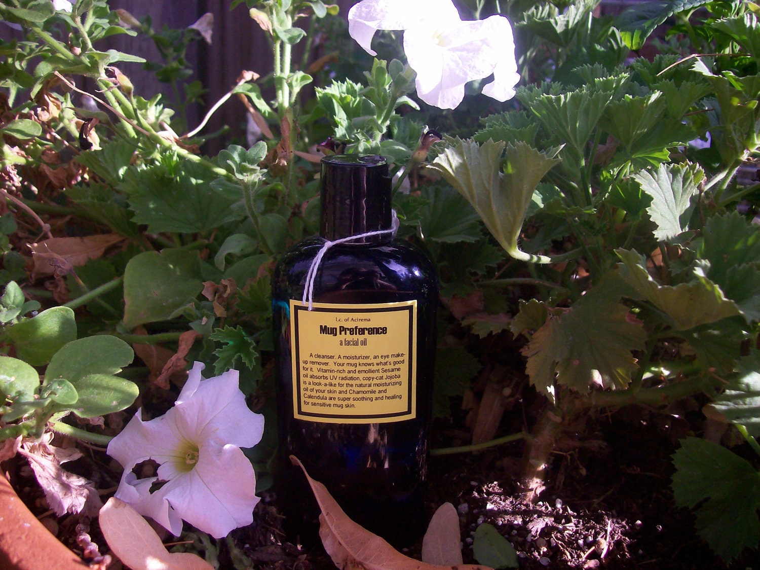 4 oz facial cleanser, Mug Preference, a facial oil, herbal