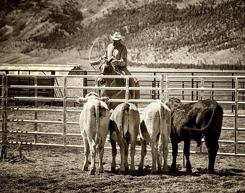 western rodeo images