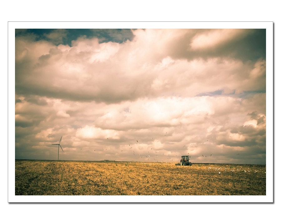 Harvest Time, Autumn harvest photograph, Harvester combine, Farming seagulls birds windmill, Autumn sky, yellow orange 8x12 8x10
