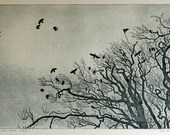 Bird Etching - Hillsborough Rooks Etching, Print - Rooks and Tree Etching