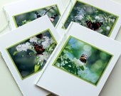 Butterfly Notes - Photo Art Notecards, Set of 4