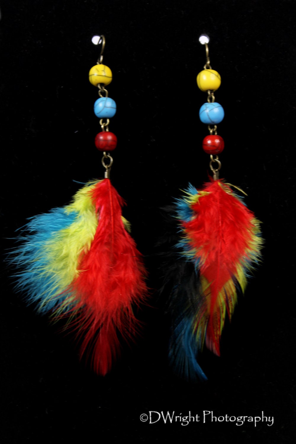 Multi Color Feather Earrings