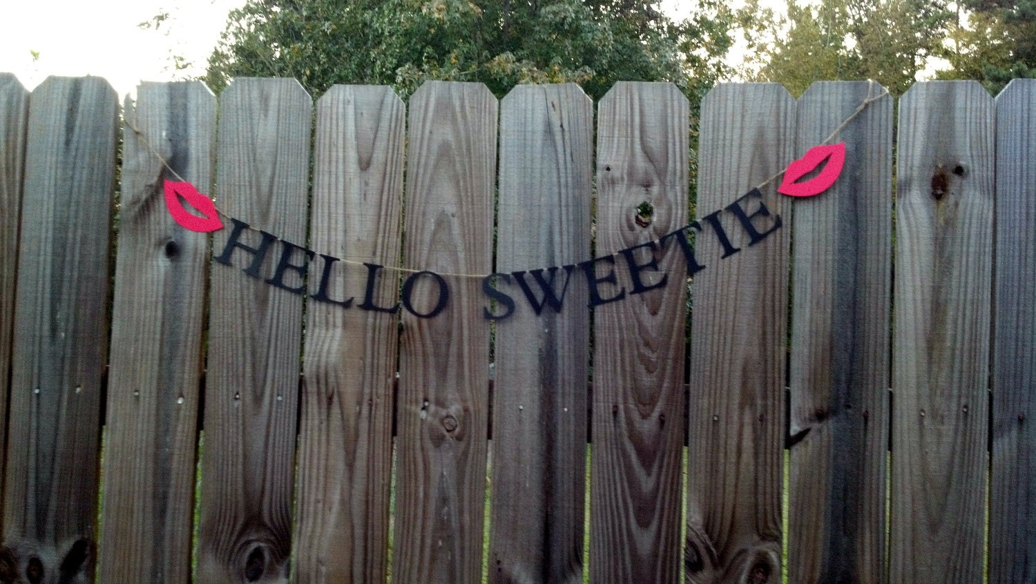 Hello Sweetie Doctor Who inspired banner