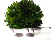 The Ritz Silver Solder Serving Dish with Preserved Boxwood Topiary