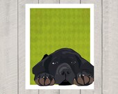Black Lab Art Print - Lazy Lab - Dog Art - 8x10