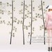 Flower tree decal wall vinyl Forest  wall art sticker Flower wall decal Nature home decor kids - 5 cherry blossom trees Z103