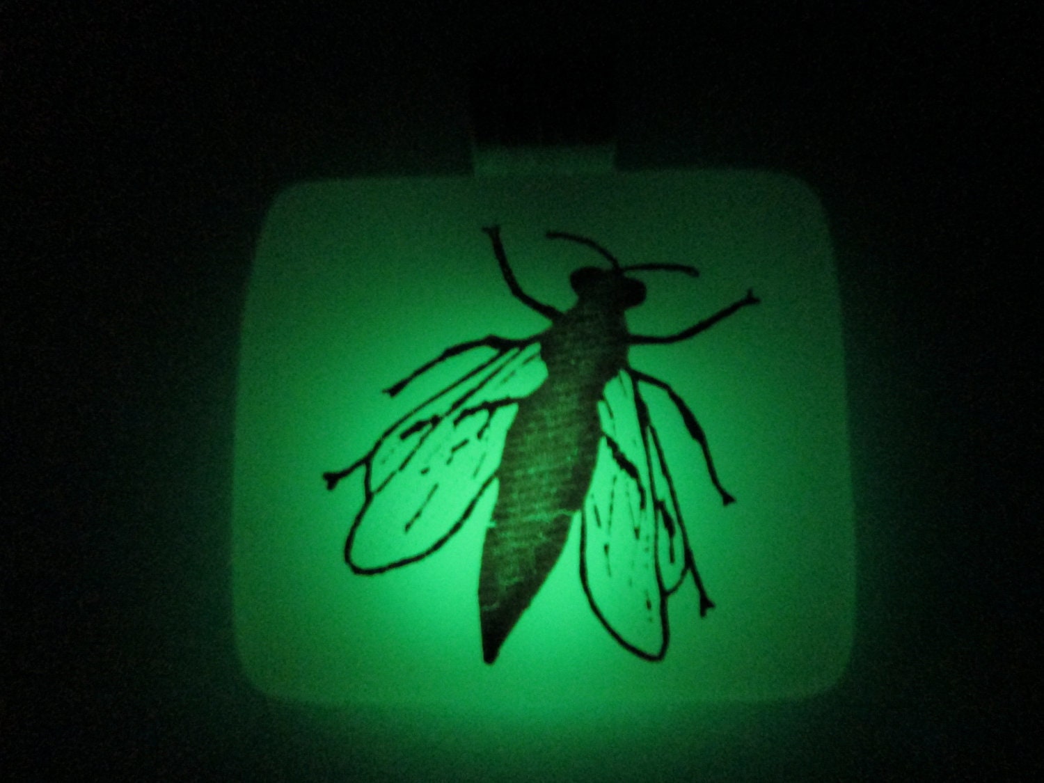 Glow in the Dark Glass Necklace - Black Fly