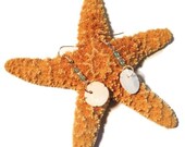 Sand Dollar and Seed Bead Earrings