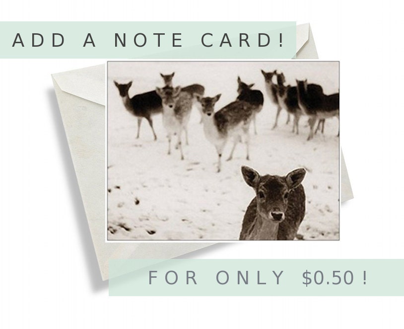 The Doe - Custom Message Card - Holiday Greeting Card - Birthday Message Card - Thank You Card