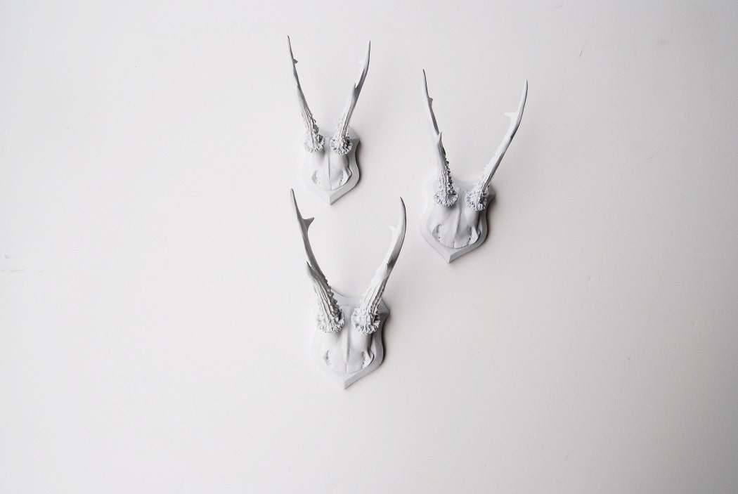 Faux Deer Antler Skull Caps - Faux Taxidermy - Set of 3 White Resin Deer Caps - Mounted Deer Antlers