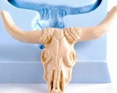 Steer Skull Silicone Mold - Southwestern Cow Skull Mold - Soap Mold - Candle Mold - Resin Mold - Polymer Clay Mold