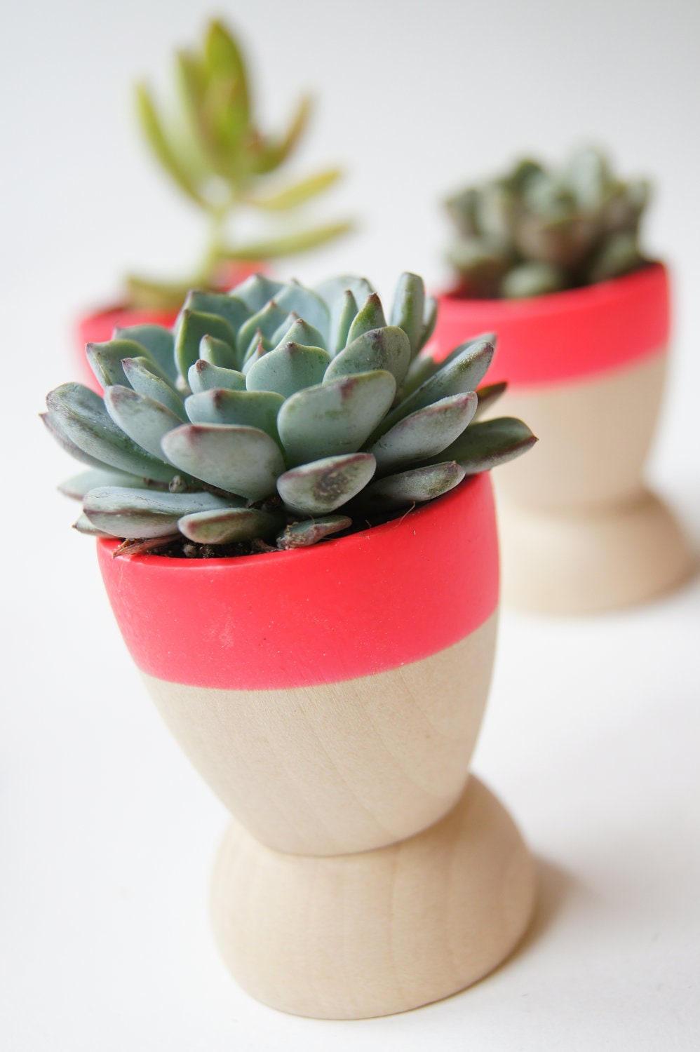 Mini Planters set of 5, Neon Pink, modern home decor, wedding favors