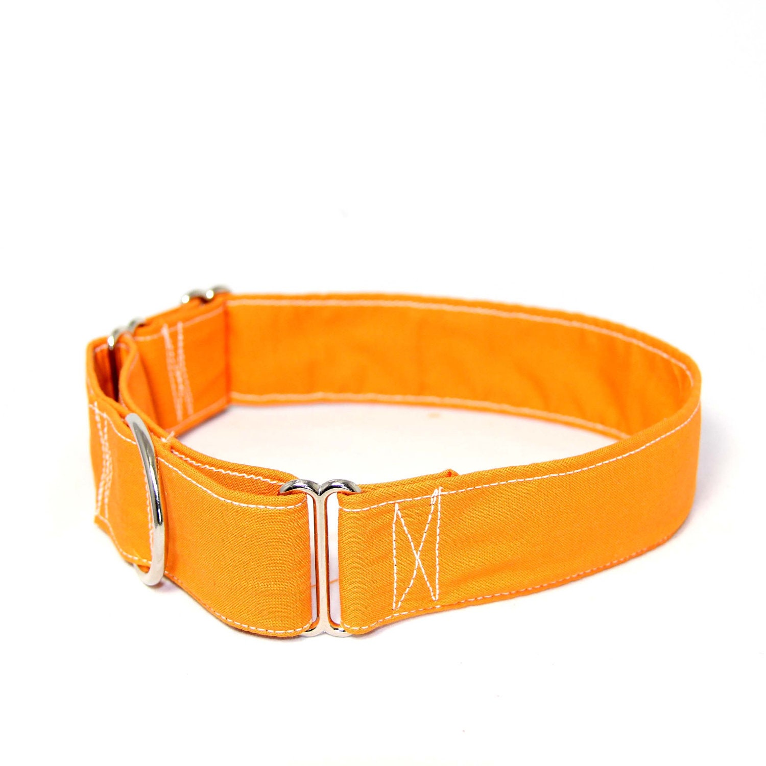 Juicy Dog Collar