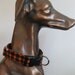 Orange and Black Plaid Dog Collar Halloween Fall
