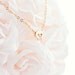 Tiny skull necklace - Matt 14k gold plated skull