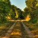 postcard set, photo postcards, country photo, set of 4 blank cards