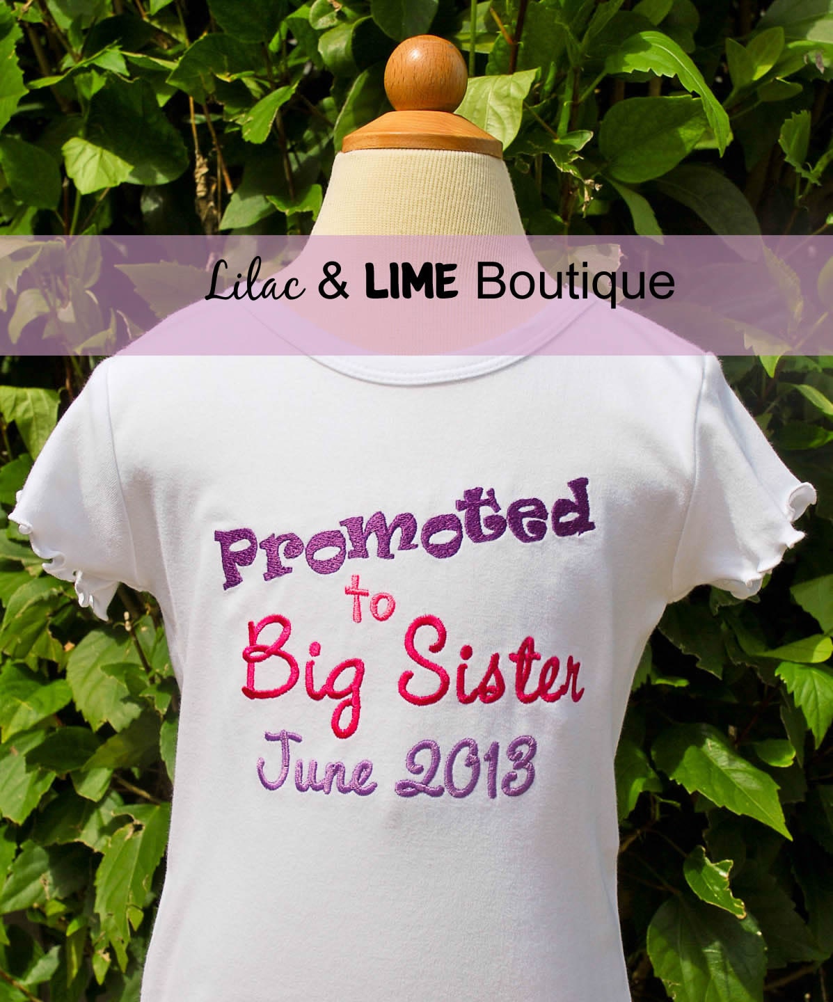 Promoted to Big Sister or Big Brother New Baby Announcement Shirt or Onesie