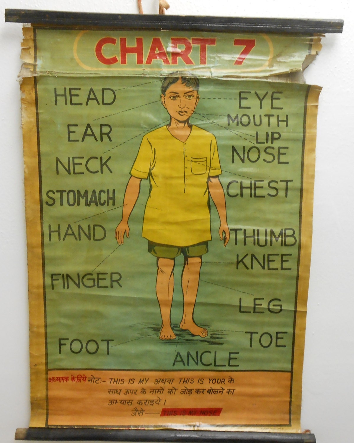 Vintage Indian Teaching Chart (Human Body)