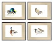 SALE -20% SET of four Art  Duck Watercolor Paintings, Art Print Paper size: 8"x10" (20,32x25,4cm)