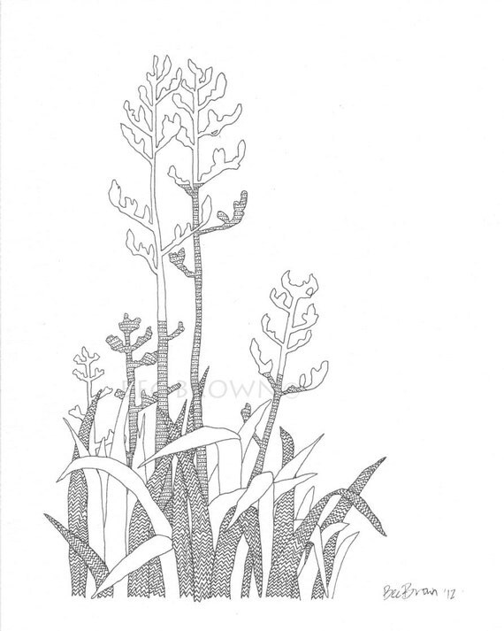 Items similar to New Zealand Flax Bush Black and White Drawing 8x10