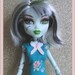 Monster High Handmade Rose Garden Dress