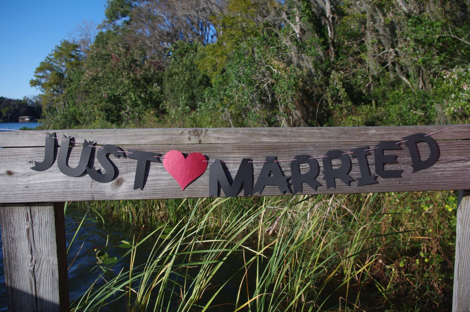 Just Married Banner for Engagement/Wedding Pictures or Decorations
