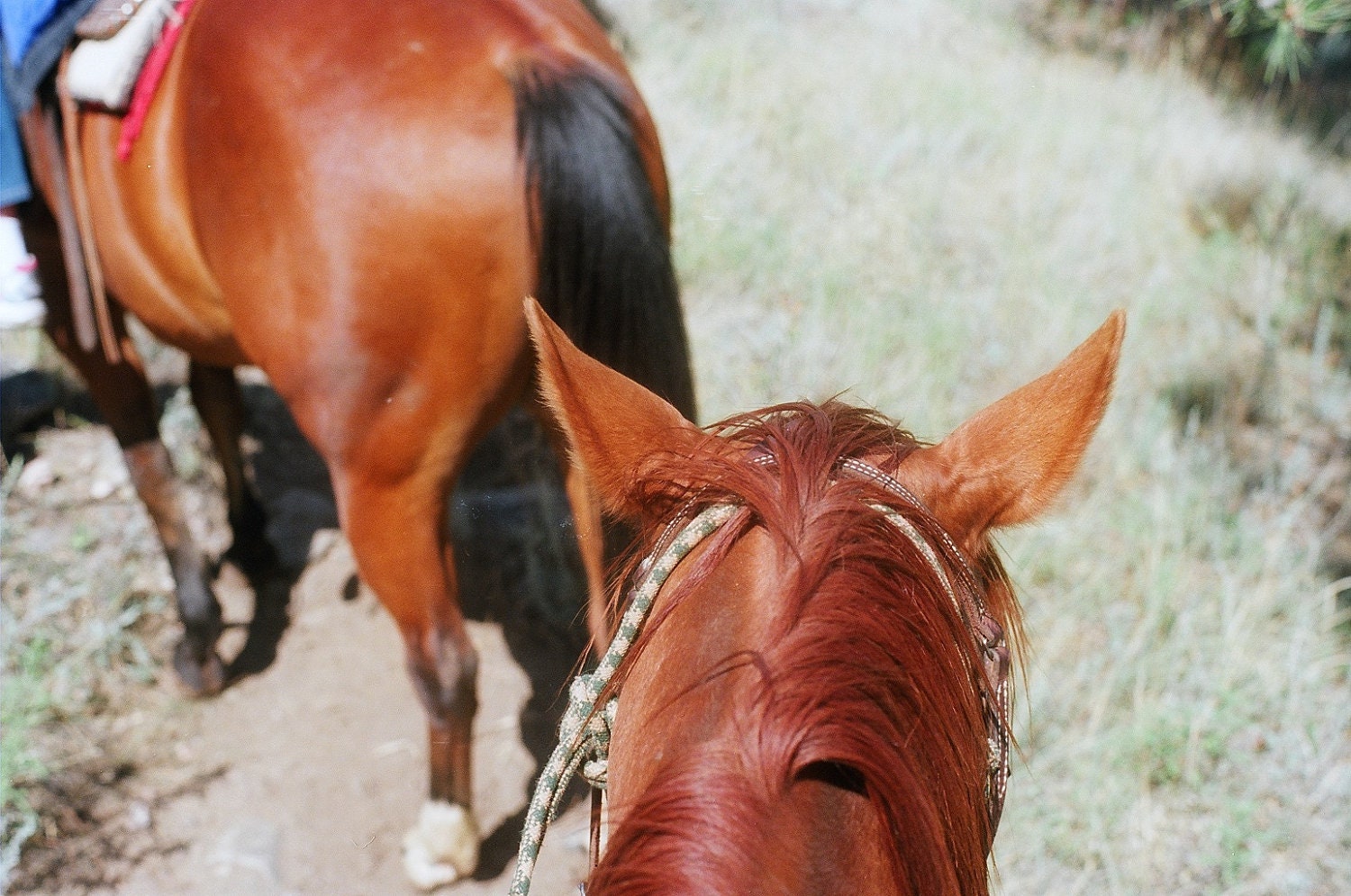 Ranch Time - 7 x 5 Fine Art Photography Print from 35mm film